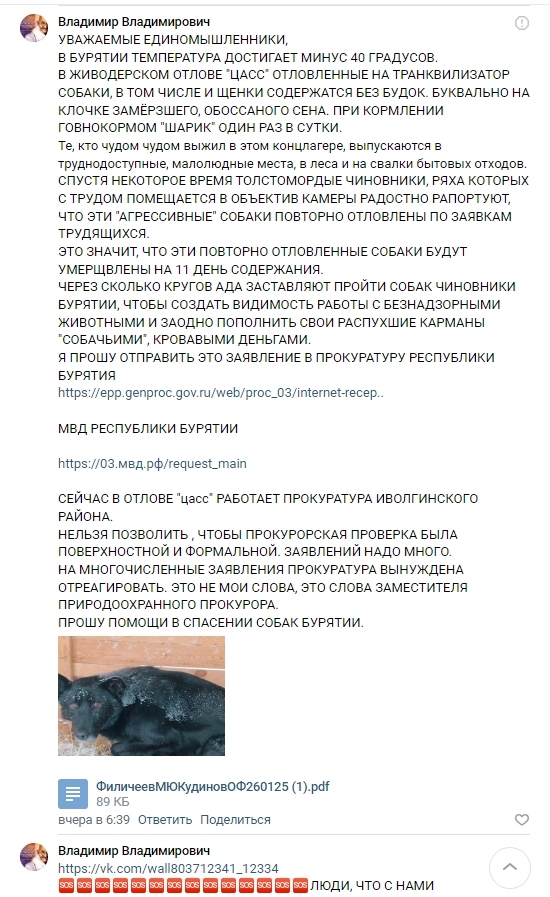 Бездомные собаки напали на десятилетнюю девочку в г.Николаевске-на-Амуре Хабаровского края
