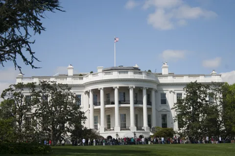 Размышления о Трампе