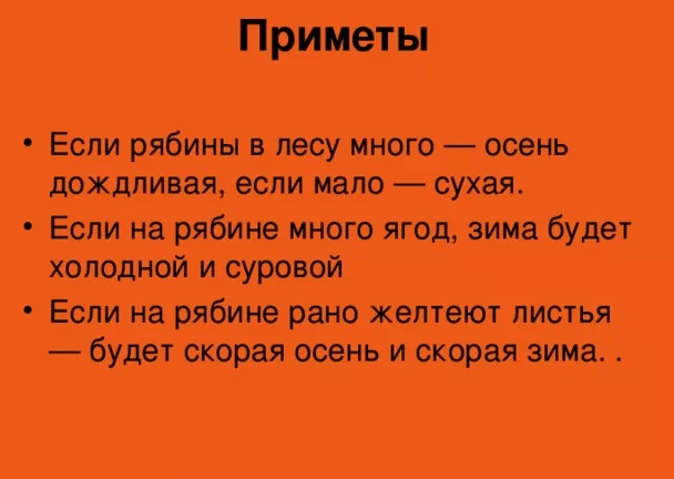 Ну и какая будет зима?