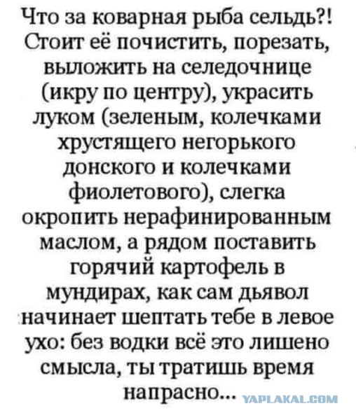 Всем приятного аппетита!