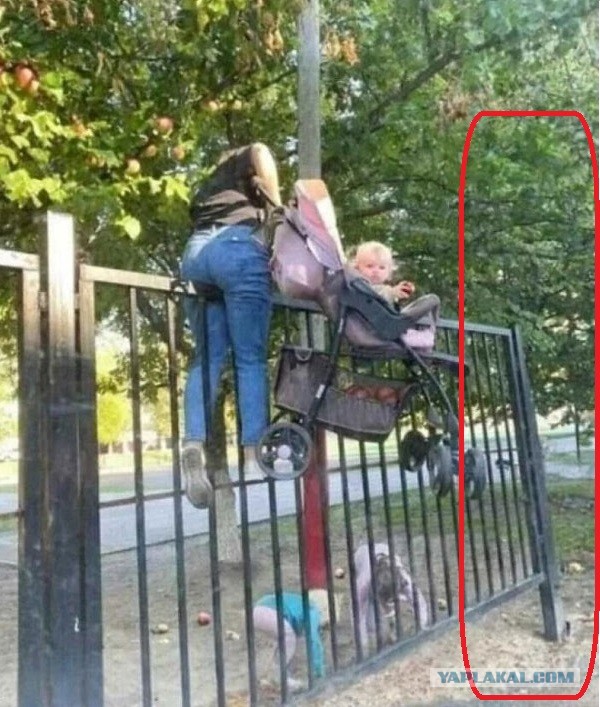 Картинки для деградации 146 (разной степени свежести)