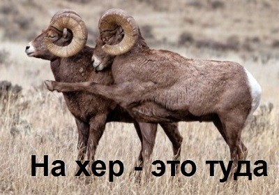 *БАЯН*Главный, из  Саратовской студии звукозаписи записал мою песню, пою я друзья...