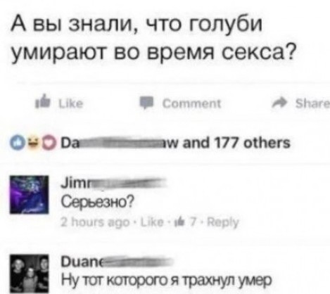Понимают ли домашние животные, что их хозяева занимаются сексом. Как хозяева относятся к наблюдению за ними животных.