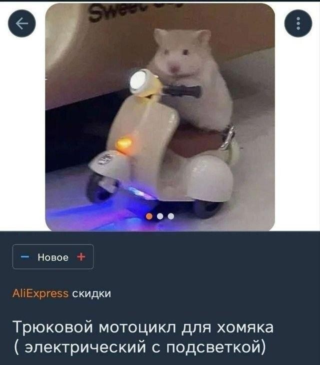 Картинки для деградации 235 (разной степени свежести)