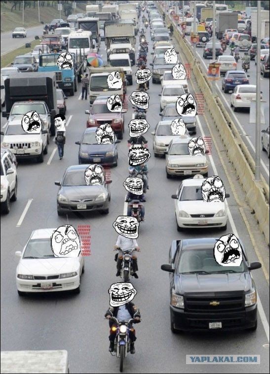 Душа, тело... а скорее просто органы