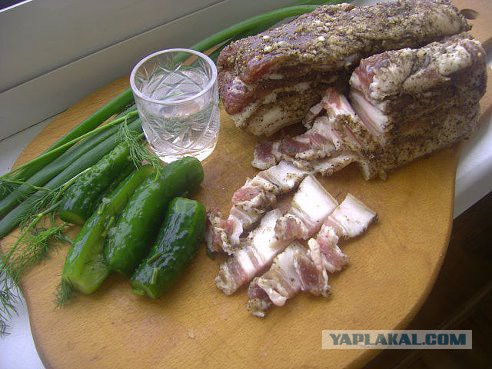 Мракобесы всех стран, соединяйтесь!