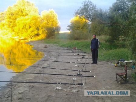 Рыбалка в Персидском заливе