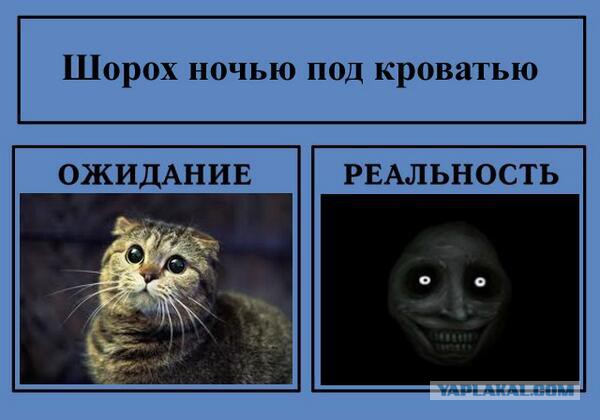 Ожидания VS Реальность