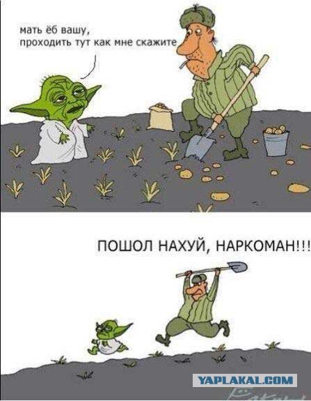 Минутка легкой наркомании