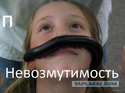 Караул!
