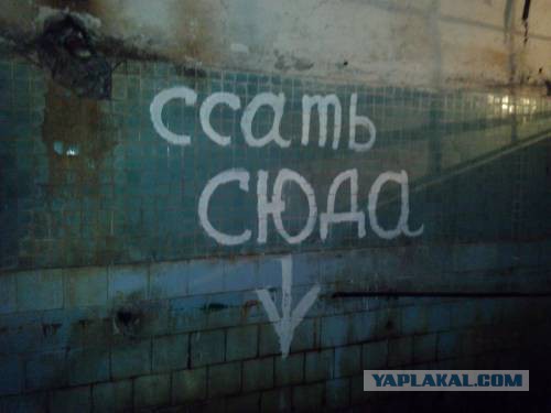 Занесло меня однажды на сельскую дискотеку
