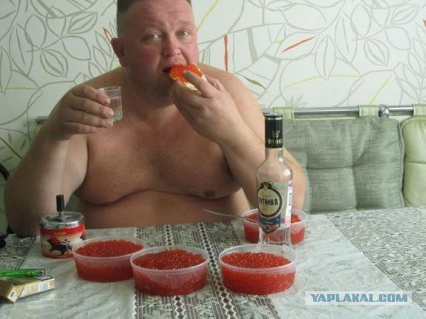 Как встретили 2015....