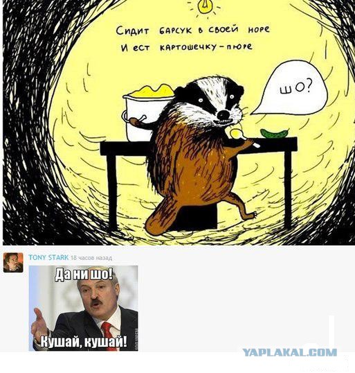 Весёлое из сети
