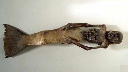 Ученые исследуют мумию русалки