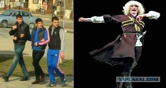 Милые чеченцы