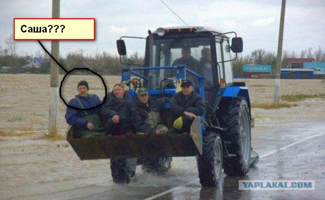 Подборка автоприколов.