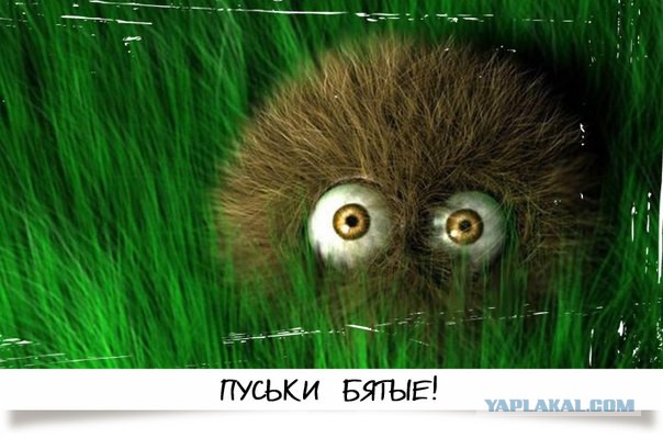 А давайте поговорим о жизни