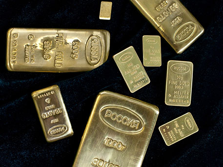 17 слитков золота на 12 млн рублей нашел амурчанин в лесу