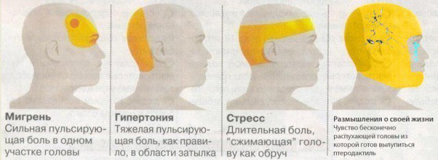 Картинки из сети