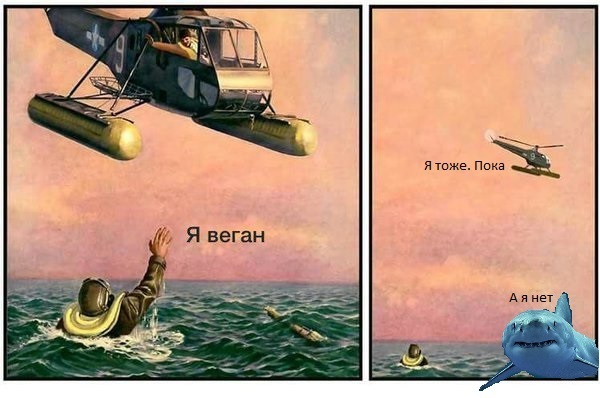 «Кто ты по гороскопу?»