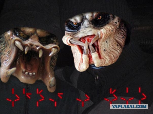 Разбили стекло и украли деньги