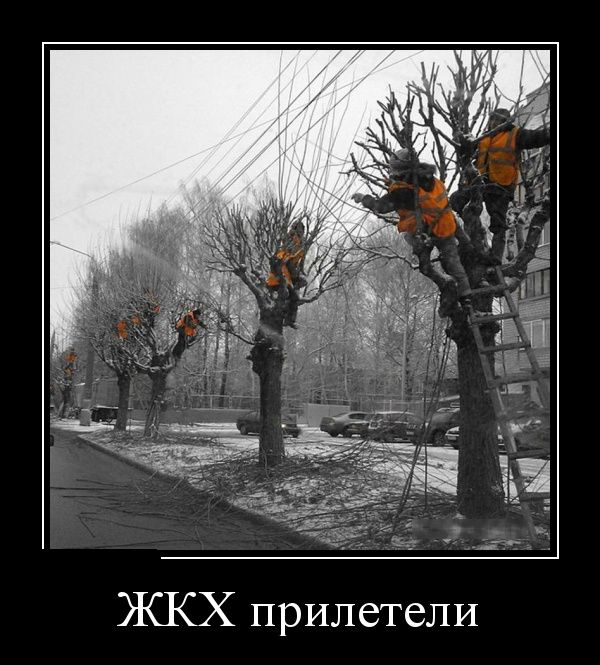 Картинки для поднятия настроения - 4