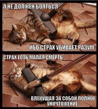 Немного лёгкой наркомании в картинках