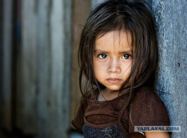 Этот ВЗГЛЯД!