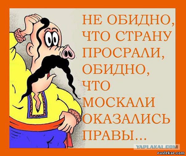 Хохлы прозревают.  кто зачищает украинские земли?