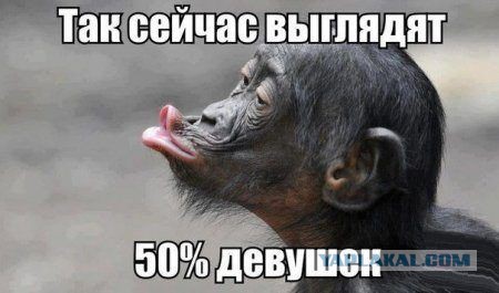Картинки из интернетов