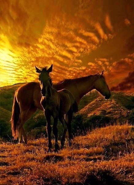 Разные картинки из сети