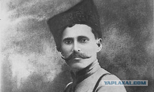 Поклонская расписалась в своем невежестве