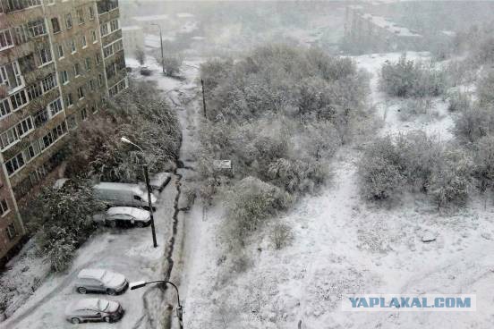 За что я люблю лето в Мурманске