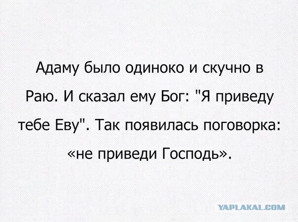 Столкновение с фундаментальной женской логикой, против которой нет оружия