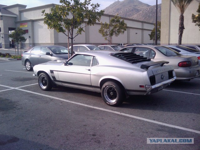 ДР mustang club