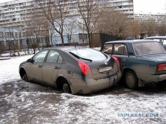 Полкузова здесь... полкузова там...