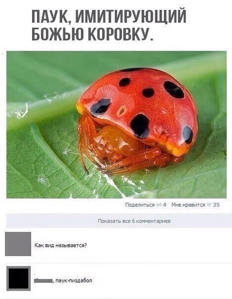 Сидите тут, развиваетесь... А деградировать кто будет?!