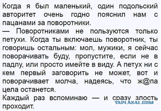 Секта чесателей уха, или половая ориентация некоторых автовладельцев