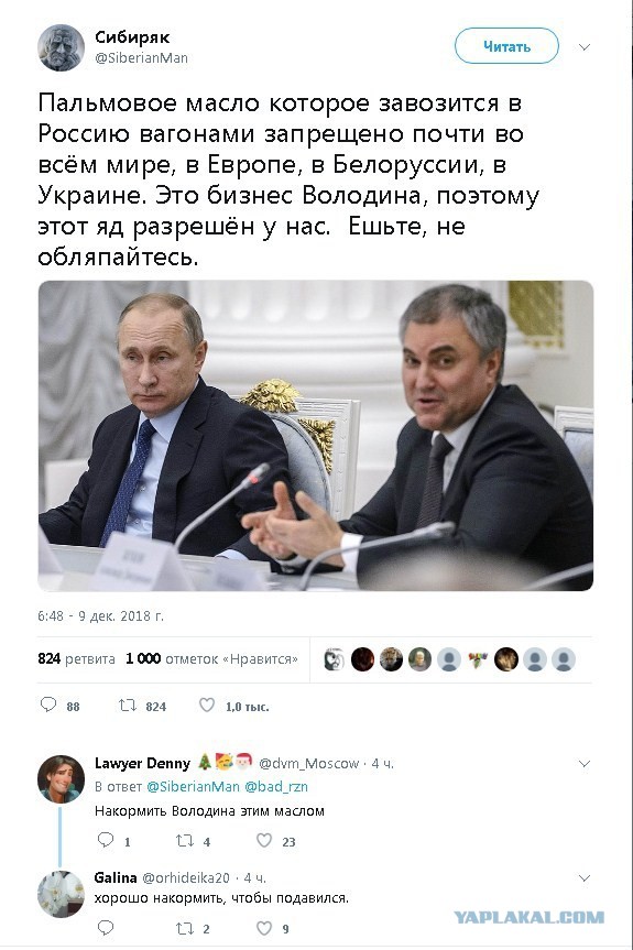 Россия впервые ввезла больше миллиона тонн пальмового масла