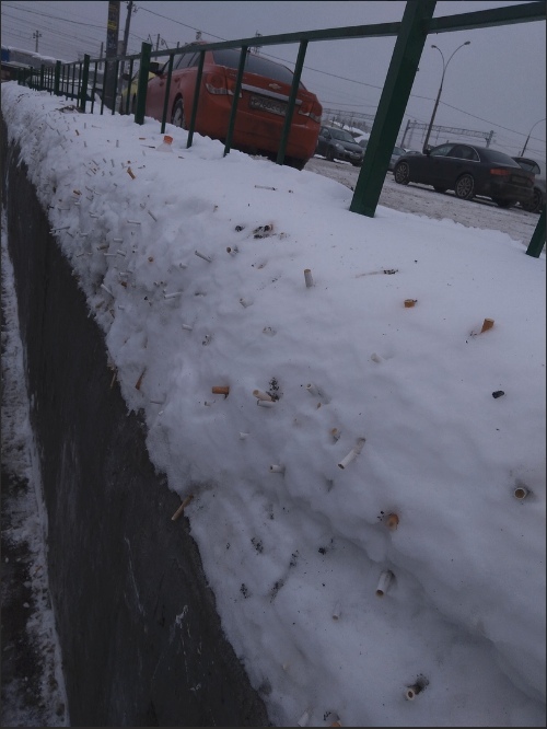 Скотсети и прочие интернеты 04.03.19