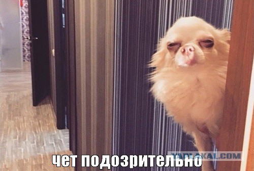 10 мифов о работе в Санлайт и отзывы сотрудников