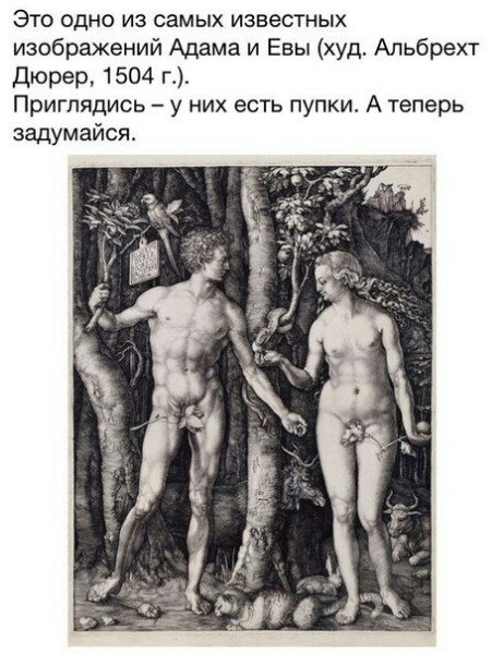 Бредзона 16.02.20