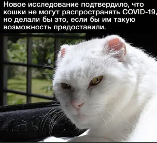 Немного картинок для настроения 25.05.20