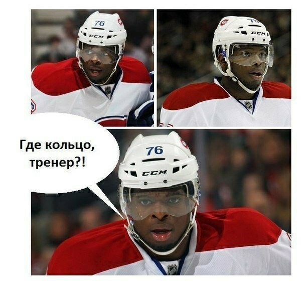 Самодостаточный птиц