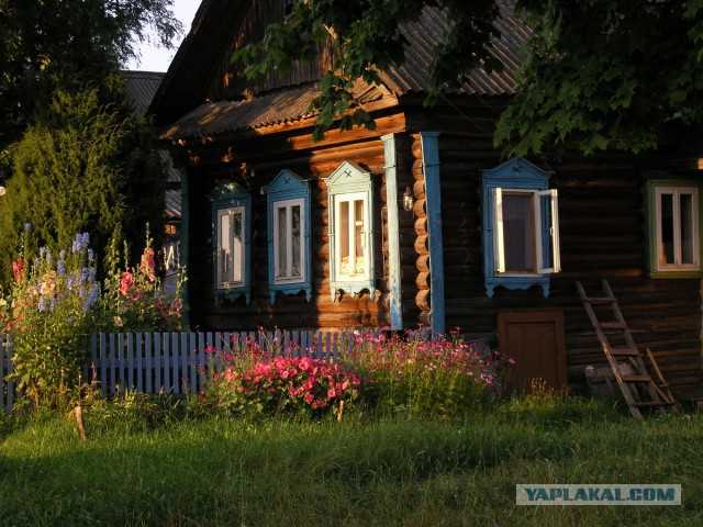 Прикольные и просто красивые картинки 09.09.2020