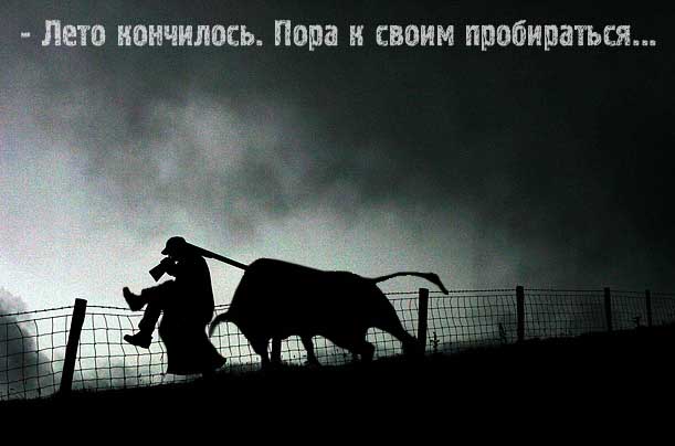 Битва фотожаберов: Лето кончилось