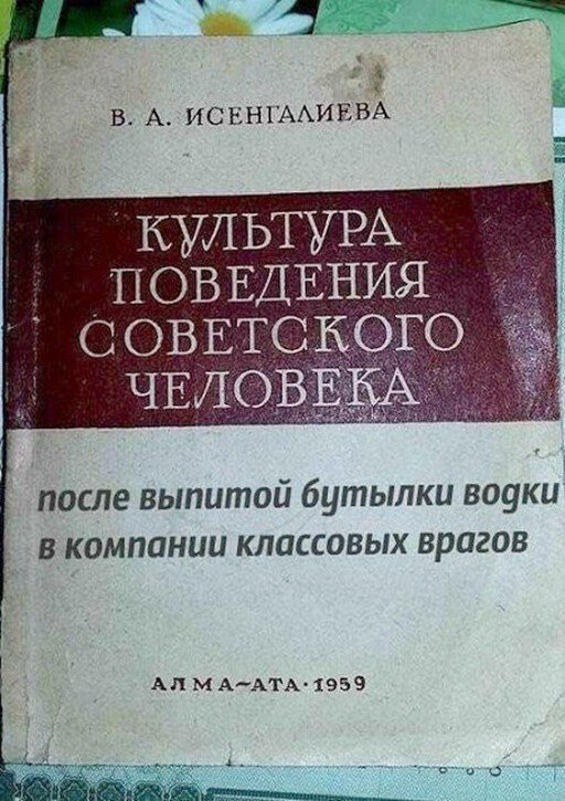 Прикольные и просто красивые картинки 08.12.2020