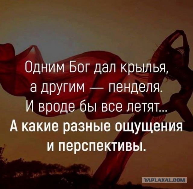 Аморальная деградация