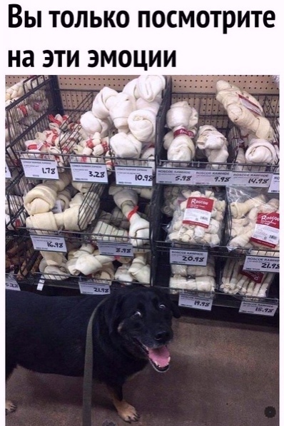 Картинки и мемы для настроения 04.08.2021