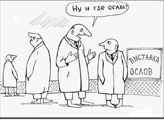 Каждая вторая в инстаграме...